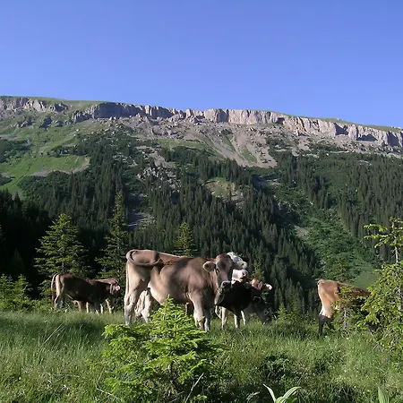 Haller's Posthotel 3*